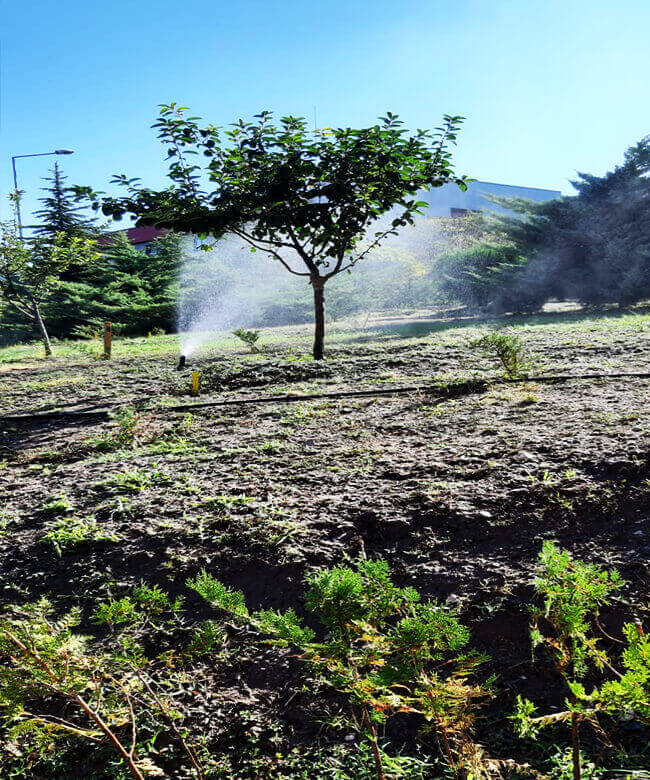 Bahçe ve bakım projesi
