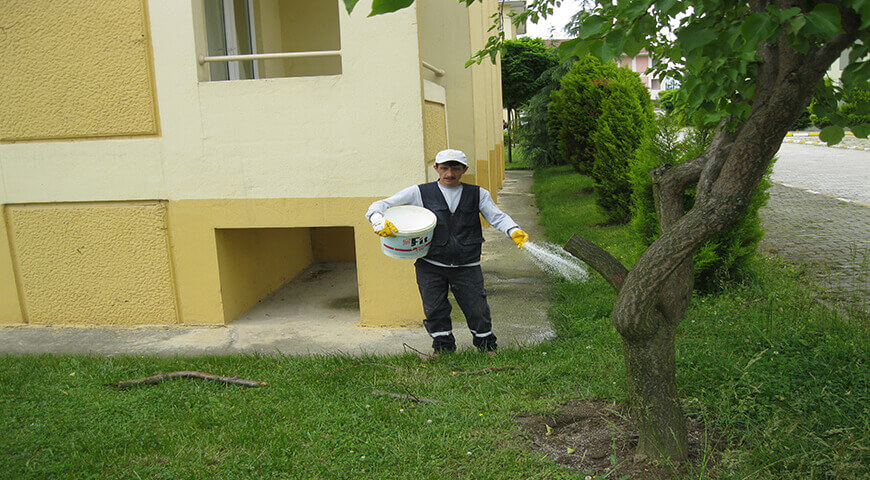 Çim Alanlarda Gübreleme