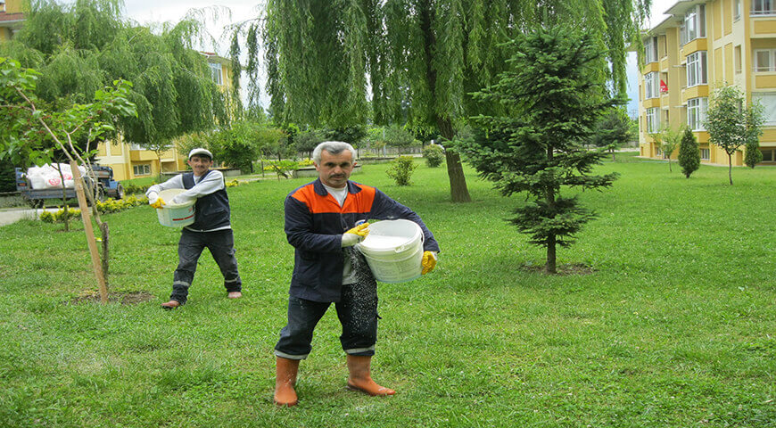 Çim Alanlarda Gübreleme