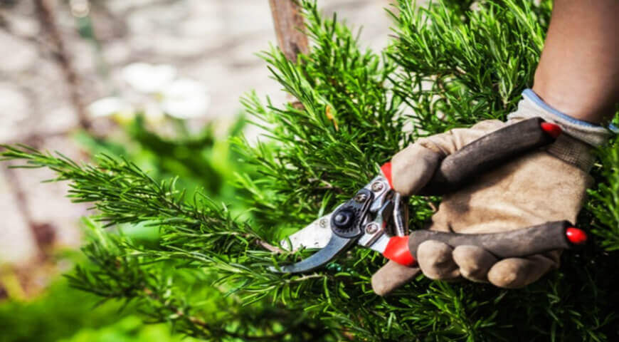 Ankara Bahçe Bakım ve Sulama 