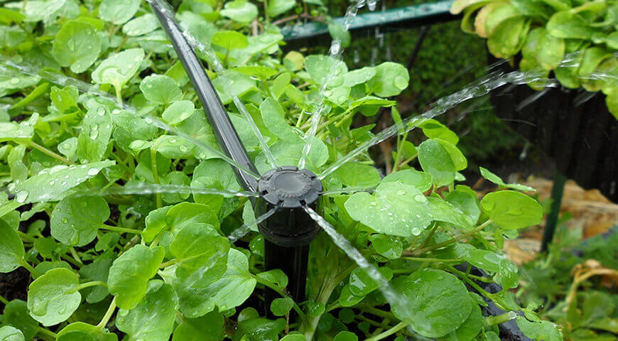 Ankara Otomatik Sulama Sistemleri 